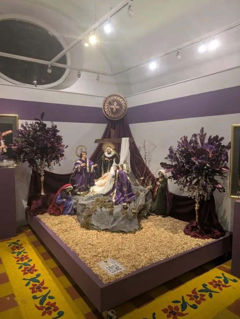 d morado 2025