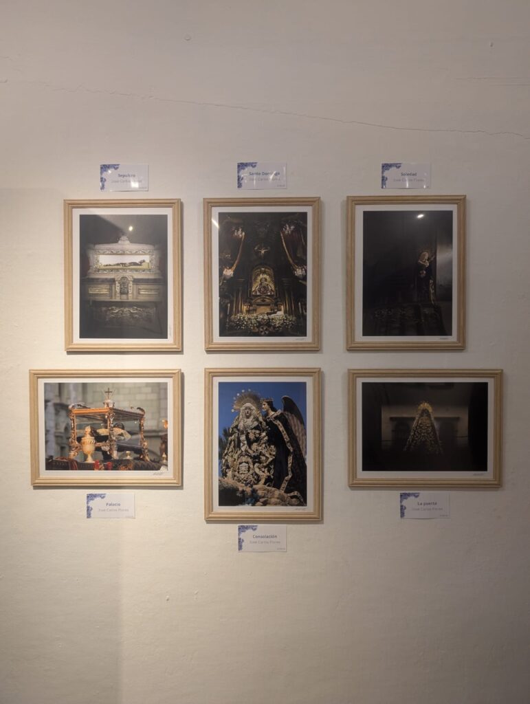 WhatsApp Image 2025-03-14 at 11.16.28 AM (3)