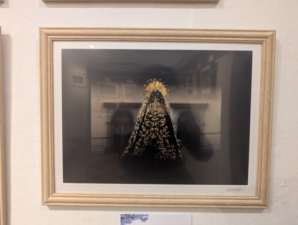 WhatsApp Image 2025-03-14 at 11.16.29 AM (3)