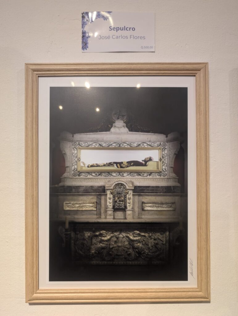 WhatsApp Image 2025-03-14 at 11.16.30 AM (1)