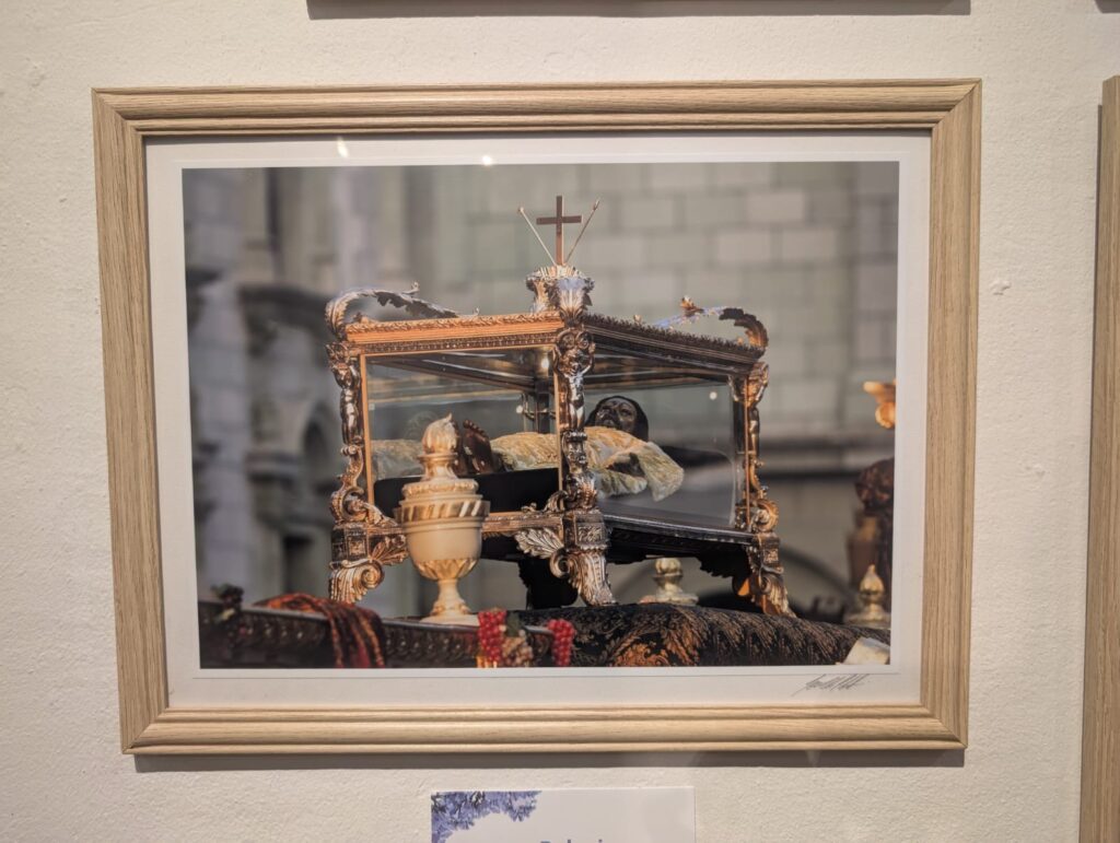 WhatsApp Image 2025-03-14 at 11.16.30 AM