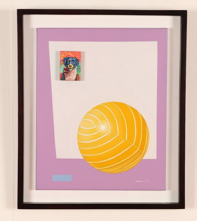 De la serie: Pelotas y chuchos II