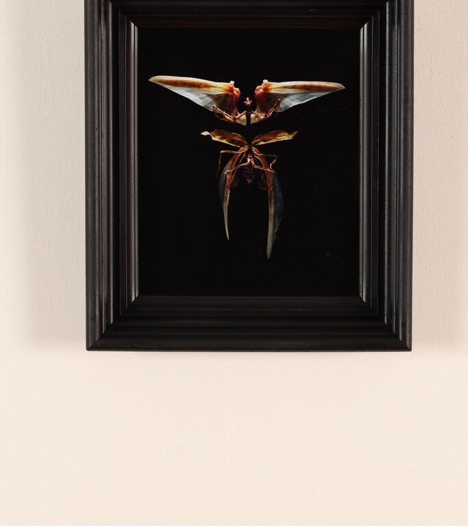 San Gabriel Arcángel