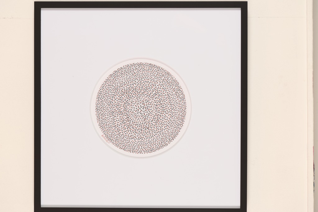 Desconocidos, luego hermanos