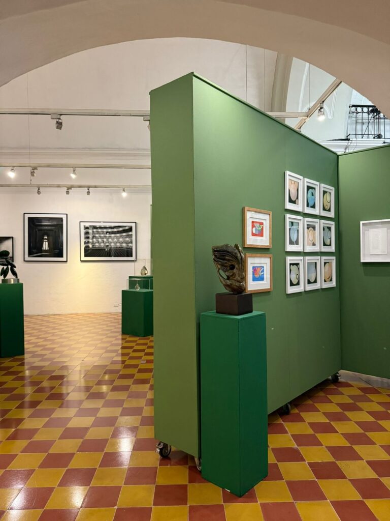 WhatsApp Image 2025-10-07 at 9.53.28 AM (4)