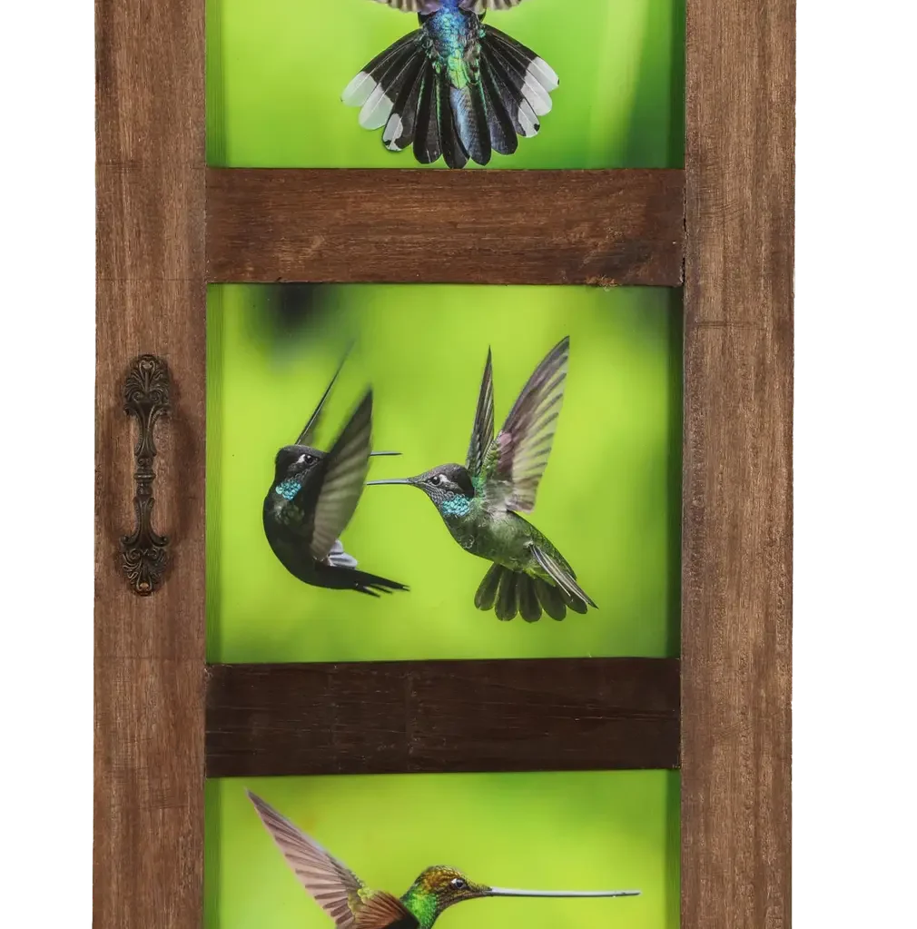 Ventana al verde