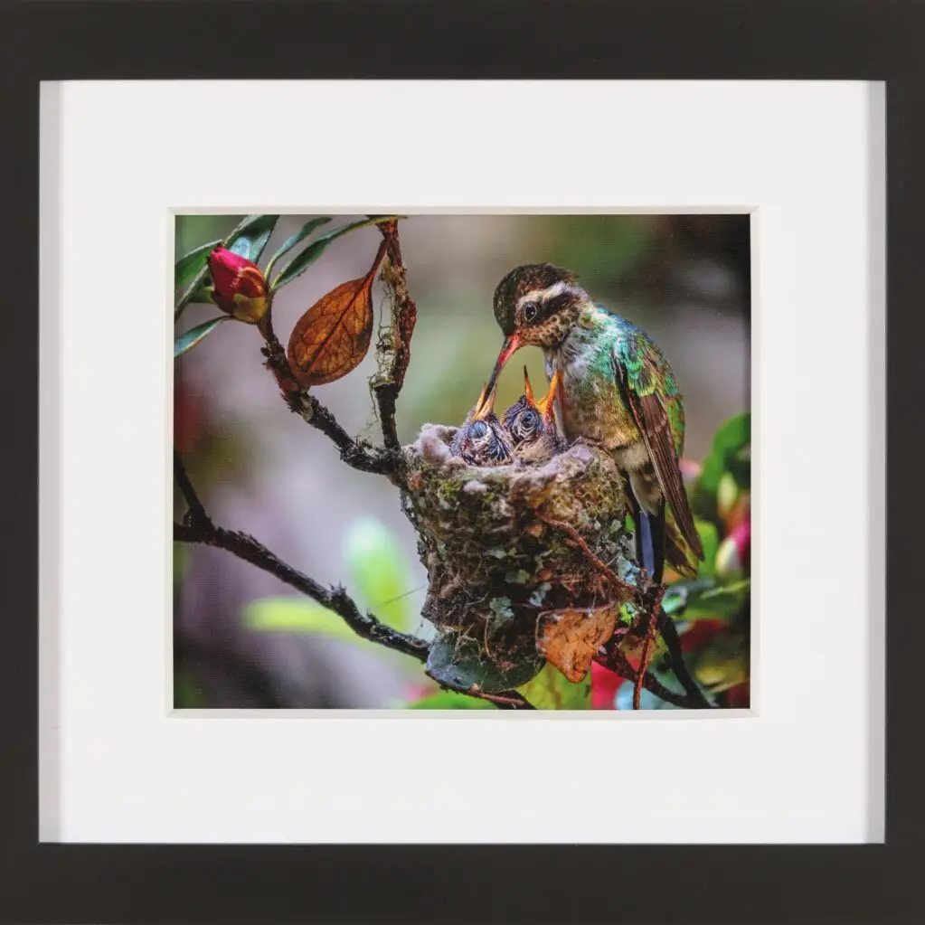 Amor maternal