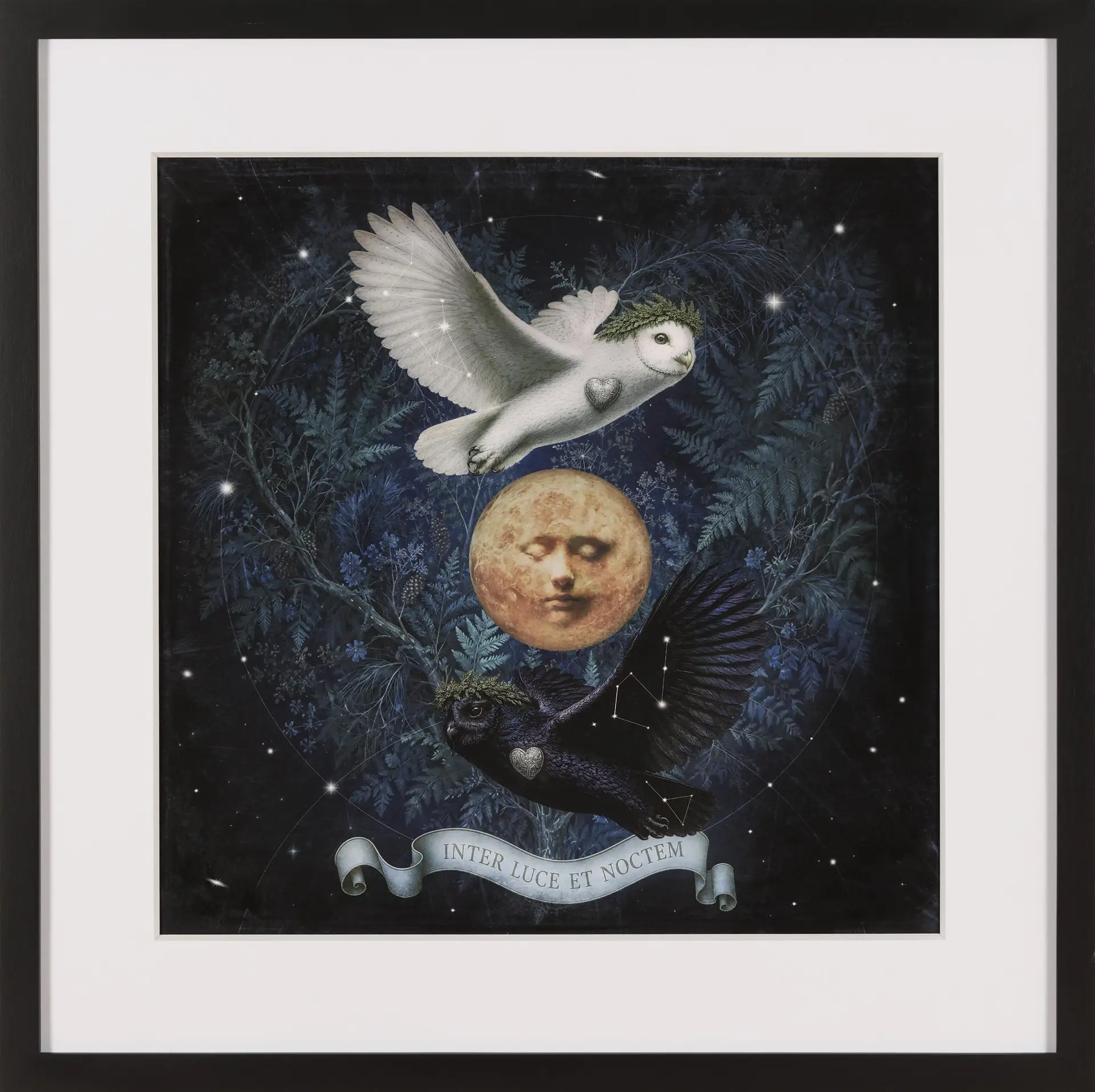 Inter Luce et noctum / Entre la luz y la noche